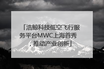 浩鲸科技低空飞行服务平台MWC上海首秀，推动产业创新