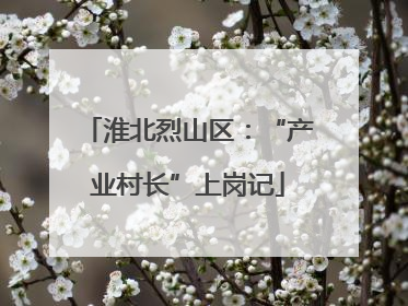 淮北烈山区：“产业村长”上岗记