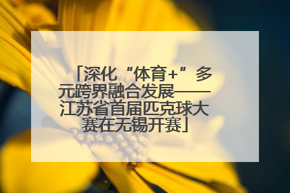 深化“体育+”多元跨界融合发展——江苏省首届匹克球大赛在无锡开赛