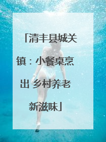 清丰县城关镇：小餐桌烹出 乡村养老新滋味