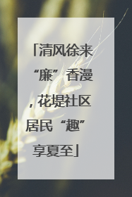 清风徐来“廉”香漫，花堤社区居民“趣”享夏至