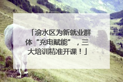 渝水区为新就业群体“充电赋能”，三大培训精准开课！