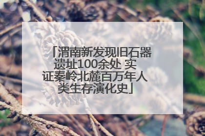 渭南新发现旧石器遗址100余处 实证秦岭北麓百万年人类生存演化史