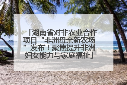 湖南省对非农业合作项目“非洲母亲新农场”发布！聚焦提升非洲妇女能力与家庭福祉