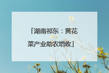 湖南祁东：黄花菜产业助农增收