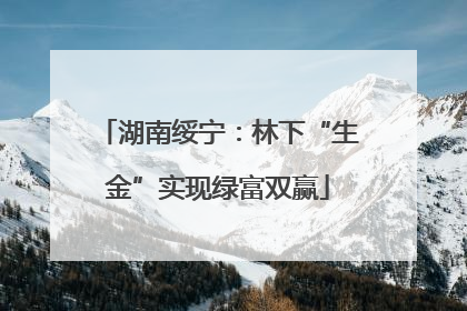 湖南绥宁：林下“生金”实现绿富双赢