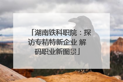 湖南铁科职院：探访专精特新企业 解码职业新图景