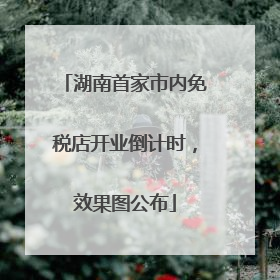 湖南首家市内免税店开业倒计时，效果图公布