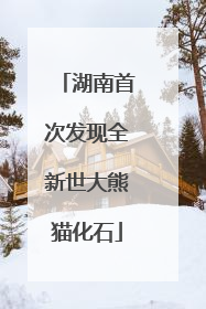 湖南首次发现全新世大熊猫化石