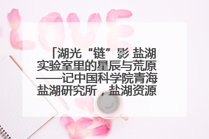 湖光“链”影 盐湖实验室里的星辰与荒原——记中国科学院青海盐湖研究所，盐湖资源化学实验室党总支书记、副主任刘忠