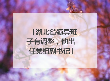 湖北省领导班子有调整，他出任党组副书记