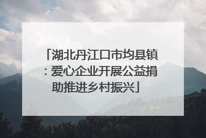 湖北丹江口市均县镇：爱心企业开展公益捐助推进乡村振兴