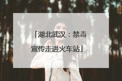 湖北武汉：禁毒宣传走进火车站
