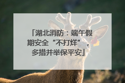 湖北消防：端午假期安全“不打烊”，多措并举保平安