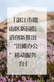 湛江市霞山区新园街道创新推出“出摊办公”移动服务台