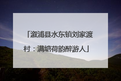 溆浦县水东镇刘家渡村：满塘荷韵醉游人