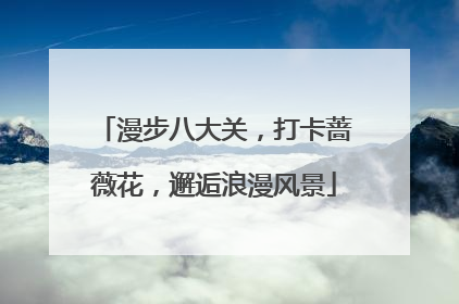 漫步八大关，打卡蔷薇花，邂逅浪漫风景