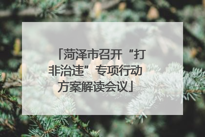 菏泽市召开“打非治违”专项行动方案解读会议