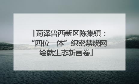 菏泽鲁西新区陈集镇：“四位一体”织密禁烧网 绘就生态新画卷
