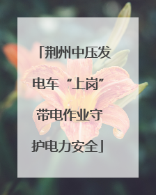 荆州中压发电车“上岗” 带电作业守护电力安全