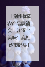 荆州优质农产品展销会：江汉“美味”亮相沙市码头