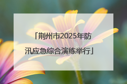 荆州市2025年防汛应急综合演练举行