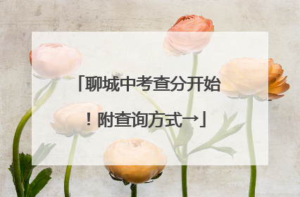 聊城中考查分开始！附查询方式→