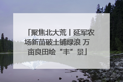 聚焦北大荒丨延军农场新苗破土铺绿浪 万亩良田绘“丰”景