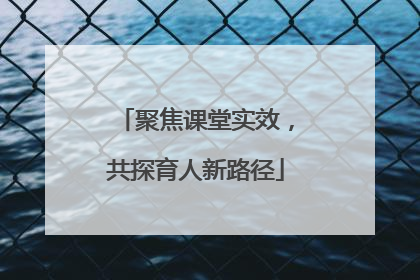 聚焦课堂实效，共探育人新路径