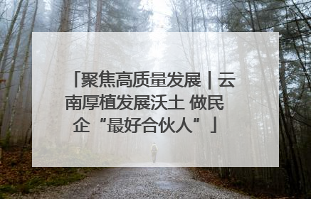 聚焦高质量发展｜云南厚植发展沃土 做民企“最好合伙人”