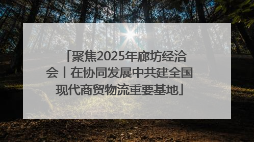 聚焦2025年廊坊经洽会丨在协同发展中共建全国现代商贸物流重要基地