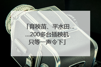 育秧苗、平水田……200多台插秧机只等一声令下