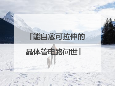 能自愈可拉伸的晶体管电路问世