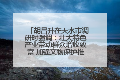 胡昌升在天水市调研时强调：壮大特色产业带动群众增收致富 加强文物保护推动文化创新发展