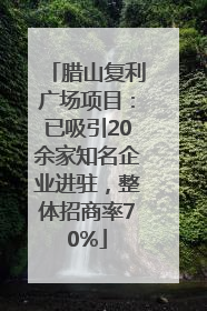 腊山复利广场项目：已吸引20余家知名企业进驻，整体招商率70%