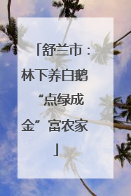 舒兰市：林下养白鹅 “点绿成金”富农家