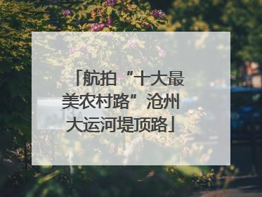航拍“十大最美农村路”沧州大运河堤顶路