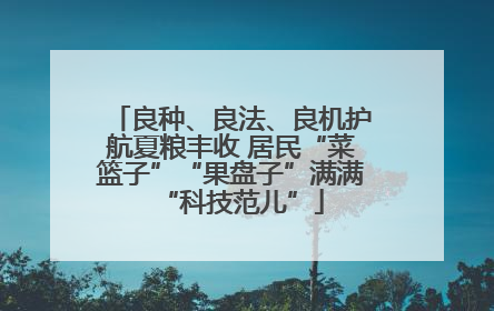 良种、良法、良机护航夏粮丰收 居民“菜篮子”“果盘子”满满“科技范儿”