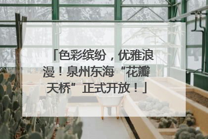 色彩缤纷，优雅浪漫！泉州东海“花瓣天桥”正式开放！