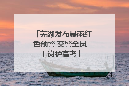 芜湖发布暴雨红色预警 交警全员上岗护高考