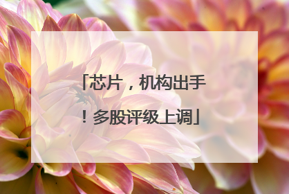 芯片，机构出手！多股评级上调