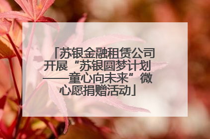 苏银金融租赁公司开展“苏银圆梦计划——童心向未来”微心愿捐赠活动