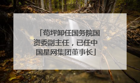 苟坪卸任国务院国资委副主任，已任中国星网集团董事长