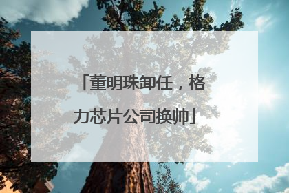 董明珠卸任，格力芯片公司换帅