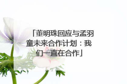 董明珠回应与孟羽童未来合作计划：我们一直在合作