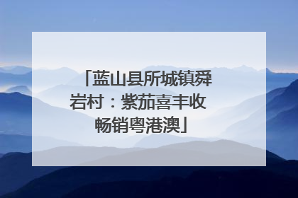 蓝山县所城镇舜岩村：紫茄喜丰收 畅销粤港澳