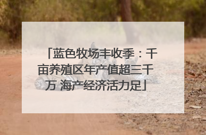 蓝色牧场丰收季：千亩养殖区年产值超三千万 海产经济活力足