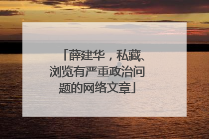 薛建华，私藏、浏览有严重政治问题的网络文章