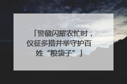 警徽闪耀农忙时，仪征多措并举守护百姓“粮袋子”