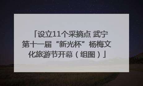 设立11个采摘点 武宁第十一届“新光杯”杨梅文化旅游节开幕（组图）